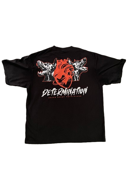 Determination